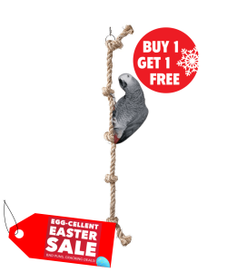 discount bird supplies