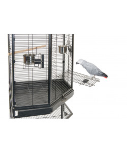 Liberta Alaska Corner Parrot Cage with Playgym Top