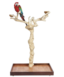 Java Wood II Tree - Large - Natural Hardwood Parrot Playstand