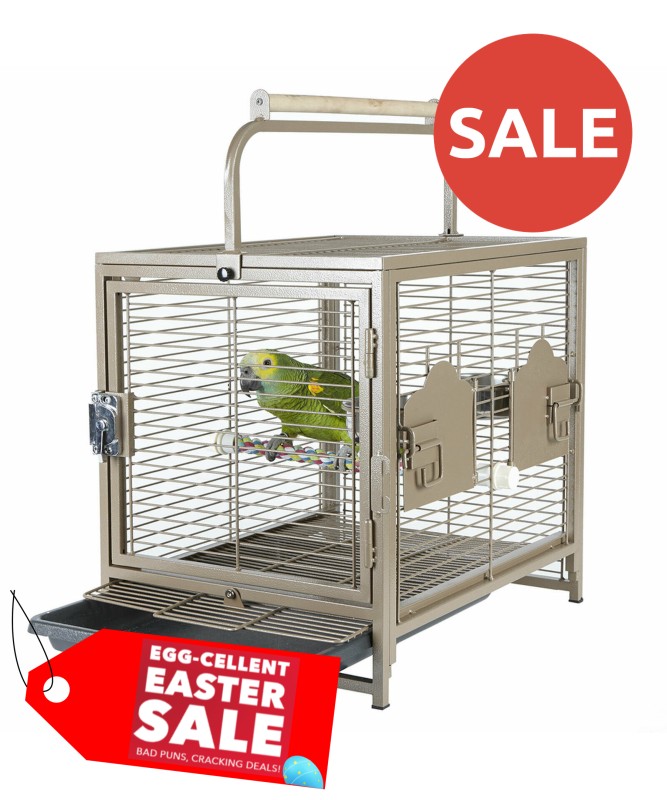 African Grey Lovebird Cages For Sale African Grey Parrot Amazon