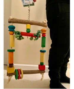 55cm Parrot-Supplies Wooden Activity Fun Swing For Parrots - Large 