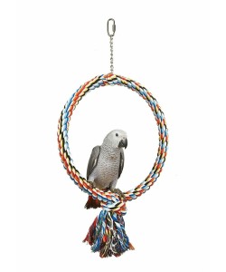 80cm Huge Coloured Rope Ring Parrot Swing, Macaw, Cockatoo Parrot Toy - BOGOF