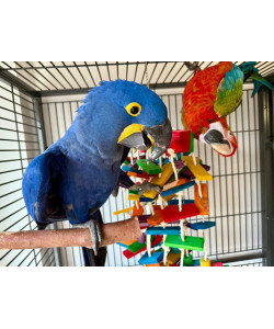 Parrot-Supplies Wood & Sisal Mega Jungle Macaw Parrot Toy