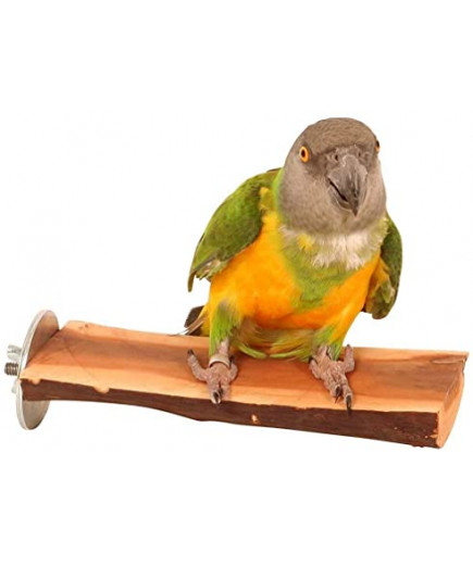 Manzanita Flat Parrot Perch - Small 