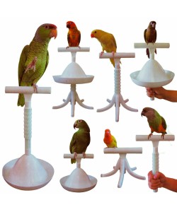 The Percher - Portable Parrot Training Perch Stand