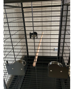 Parrot-Supplies Miami Premium Dome Top Macaw Parrot Cage - Black