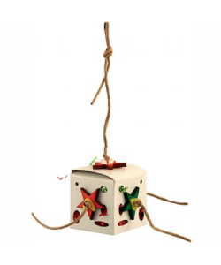 Foraging Fun Box Parrot Toy - Medium