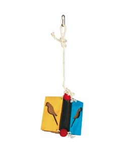 Book Worm Parrot Toy