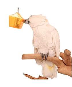Parrot`s Treasure - Tough Foraging Toy for Parrots