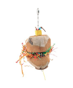 Coconut Treasure Chest Parrot Toy