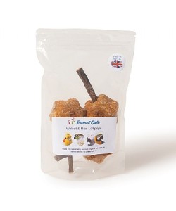 Parrot Cafe Walnut & Rice Lollipop Parrot Treats 100g