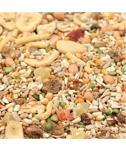 Tidymix Parrot Diet - High Quality Seed Blend - 22.68kg