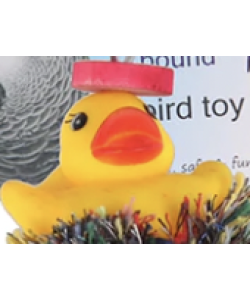 Adventure Bound Duck and Bell Bird Toy