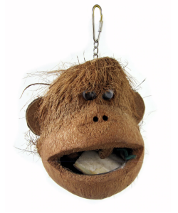 Adventure Bound Java CoCo Monkey Bird Toy