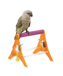 t bar parrot stand