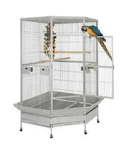 Liberta Raleigh Large Solid Top Corner Parrot Cage - Stone