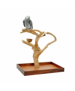 Java Tree Hardwood Mini Tree Parrot Table Top Play Stand