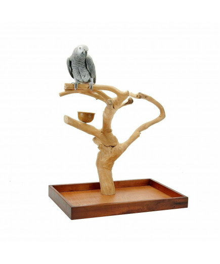 Java Tree Hardwood Mini Tree Parrot Table Top Play Stand