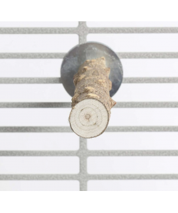 Parrot-Supplies Pepper Wood Natural Parrot Perch Small