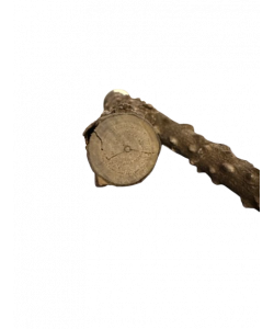 Parrot-Supplies Forked Pepper Wood Natural Parrot Perch Parrot-Supplies Forked Pepper Wood Natural Parrot Perch