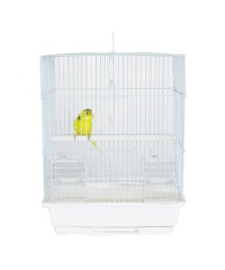 Rainforest Cages Santa Cruz Bird Travel Cage 