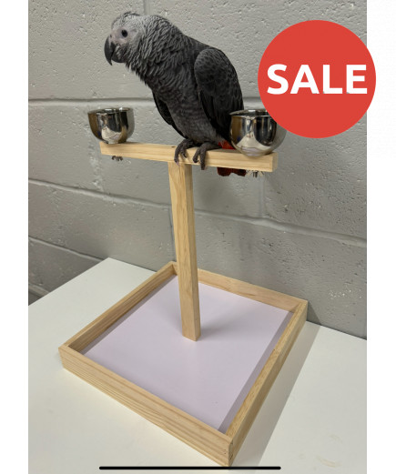 Parrot-Supplies Small Parrot Wooden Play Stand With Bowls