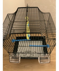 Parrot-Supplies Kissimmee Shaped Top Small Bird Cage - Black
